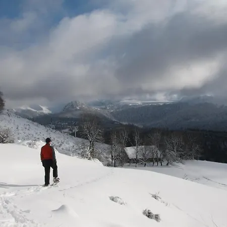 Les Camélias Le Mont-Dore