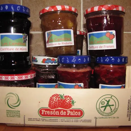 Apartmán Les Camelias Le Mont-Dore