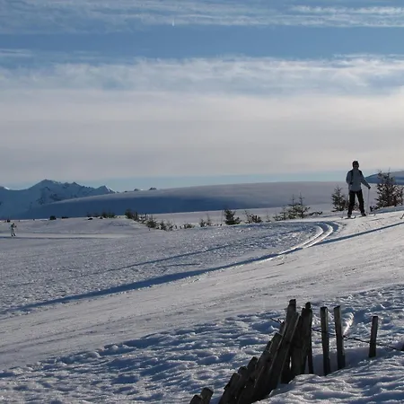 Les Camélias Le Mont-Dore