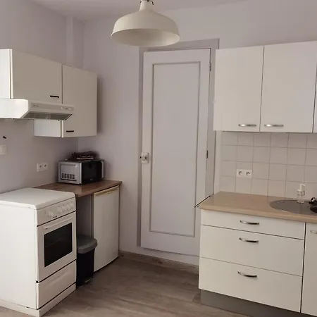 Les Camelias Apartment Le Mont-Dore