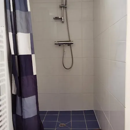 Les Camelias Apartment Le Mont-Dore