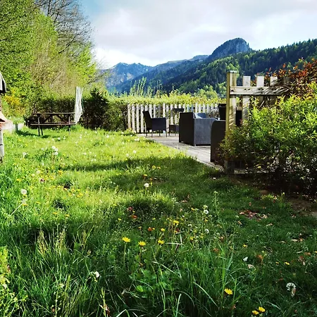 Les Camelias Apartment Le Mont-Dore