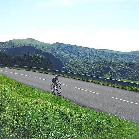 Apartment Les Camelias *