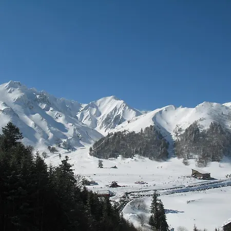 Apartment Les Camelias *