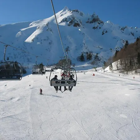 Les Camélias Le Mont-Dore