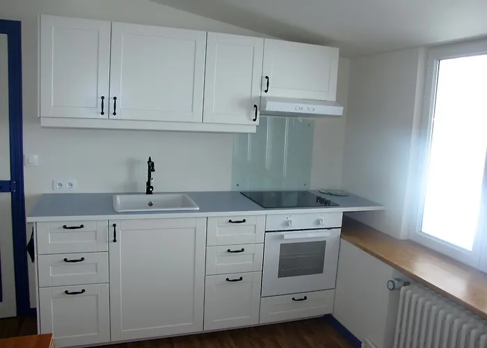 Apartment Les Camelias Le Mont-Dore