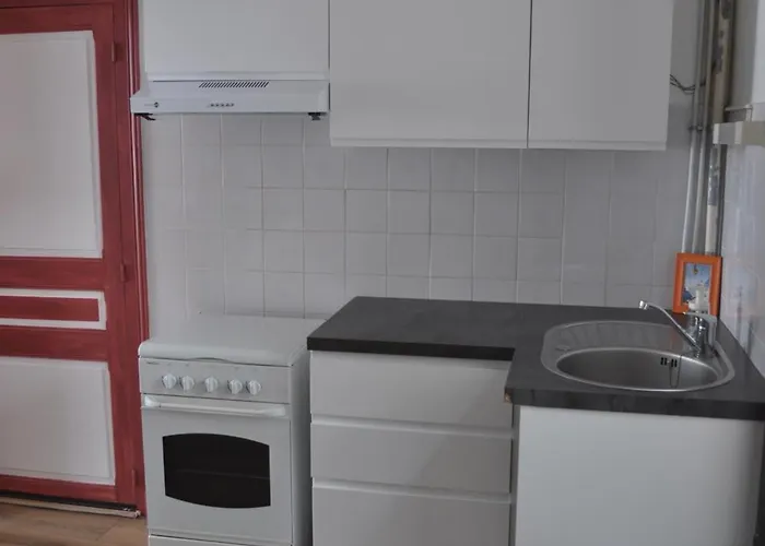 Lejlighed Les Camelias Le Mont-Dore