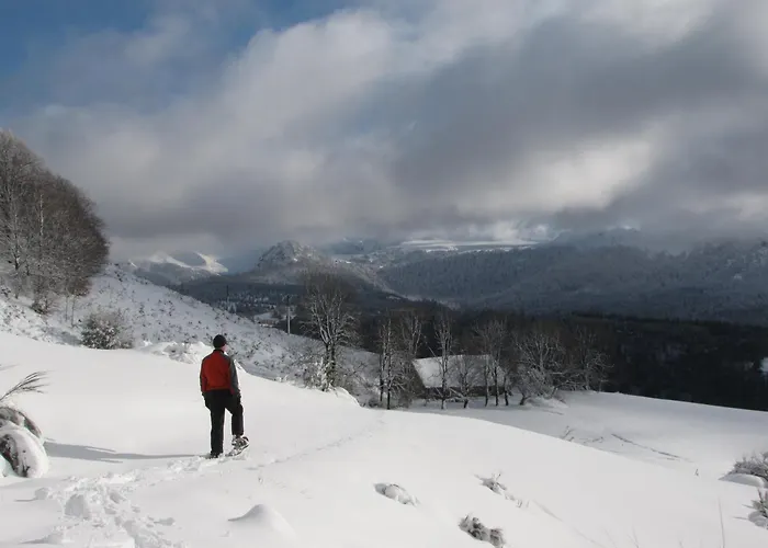 Les Camelias Ле-Мон-Дор