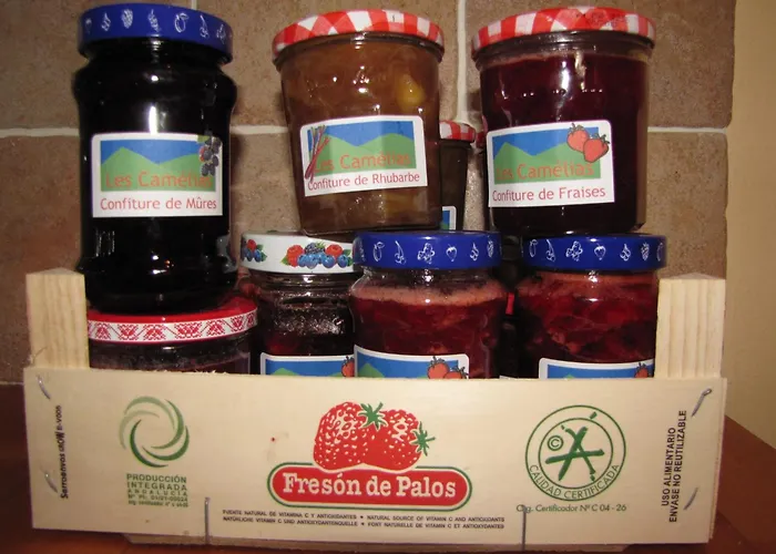 Апартаменты Les Camelias Ле-Мон-Дор