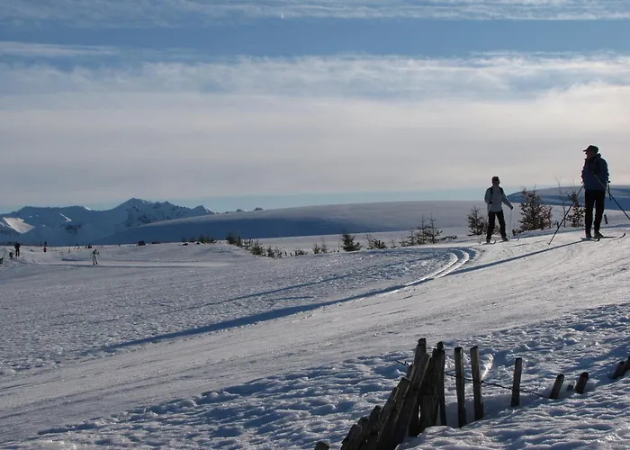 Les Camelias Ле-Мон-Дор