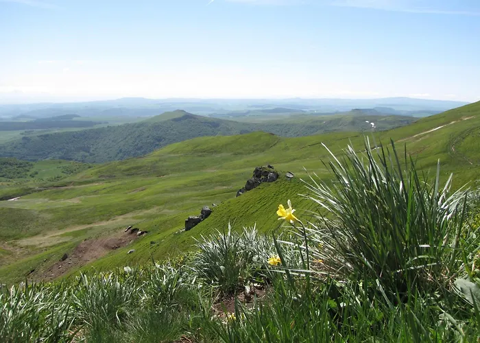 Апартаменты Les Camelias *