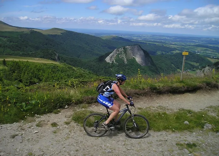 Апартаменты Les Camelias Ле-Мон-Дор