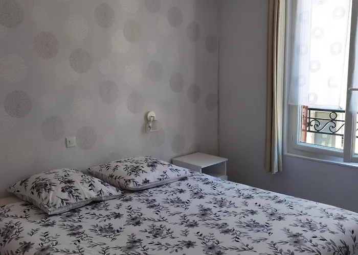 Les Camelias Le Mont-Dore