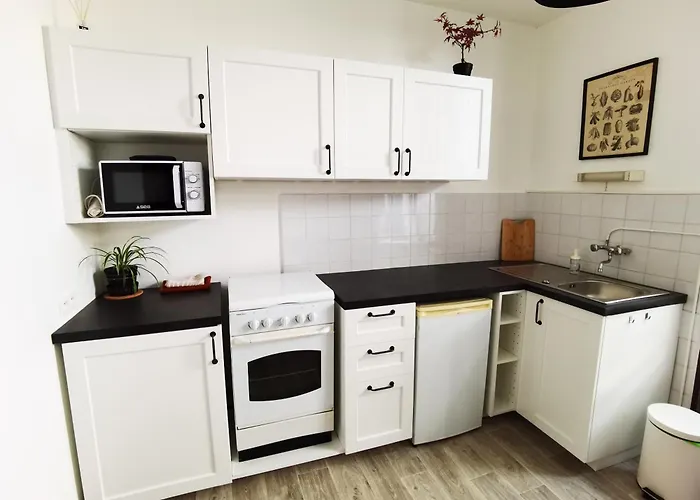 Апартаменты Les Camelias