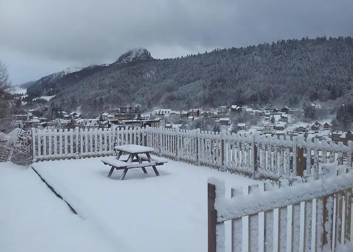 Les Camelias Lejlighed Le Mont-Dore