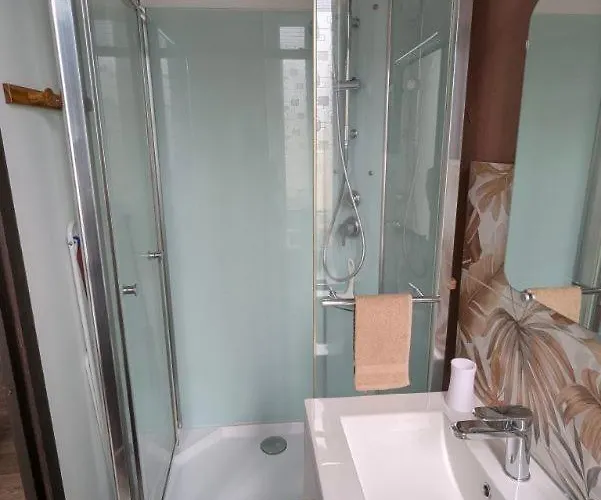 Les Camelias * Le Mont-Dore