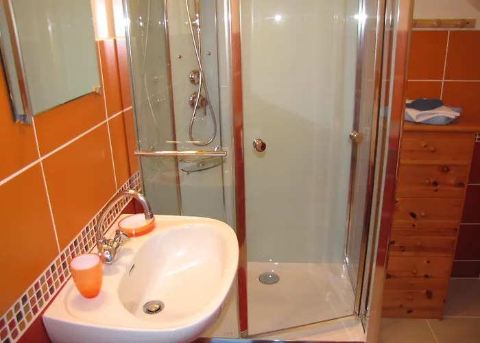 Les Camelias * Le Mont-Dore