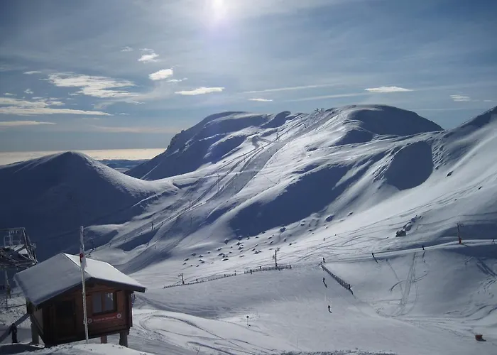 Les Camelias Le Mont-Dore