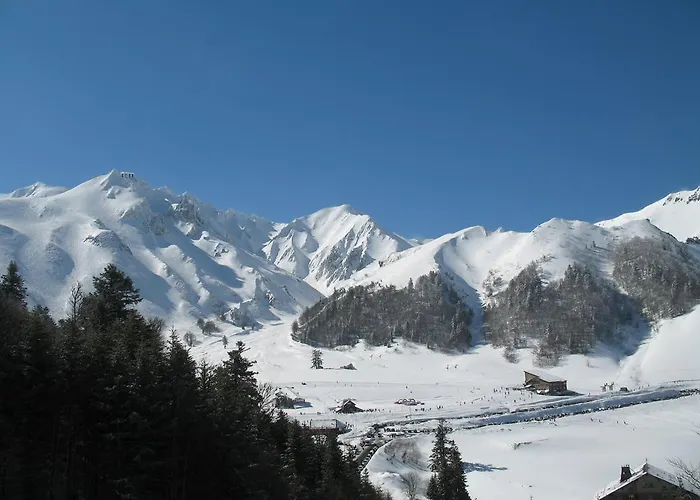 Lejlighed Les Camelias *