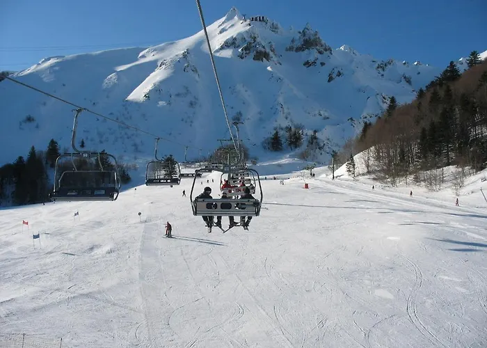 Les Camelias Le Mont-Dore